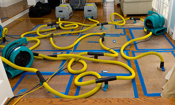 Professional Crawl Space Water Removal technician working in Centerville, MN